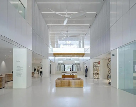 The Wellness-Driven Design Behind Tomorrow’s Greenest Headquarters