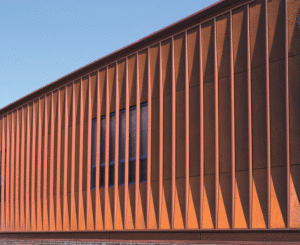 A close-up horizontal shot of the brown/orange fins. Bright blue sky is above. 