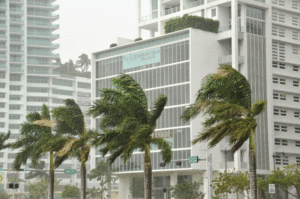 Three palm trees are side by side, blowing in strong winds. Behind are tall, white commercial buildings.