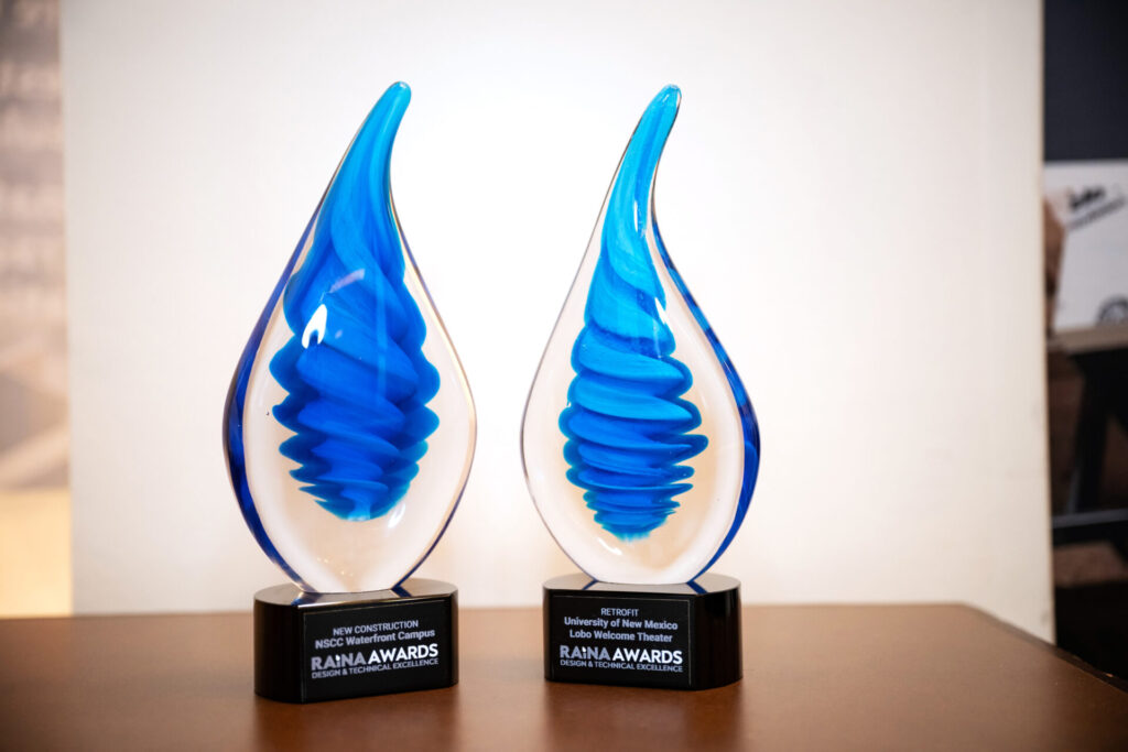 Two glass RAiNA Awards trophies with blue flame-shaped designs sit on a table, each mounted on a black base with engraved labels.