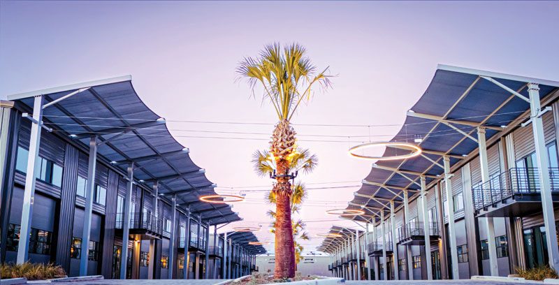 Pedestrian streetscape lined with metal-framed canopies and building facades, centered on a palm tree beneath a twilight sky.