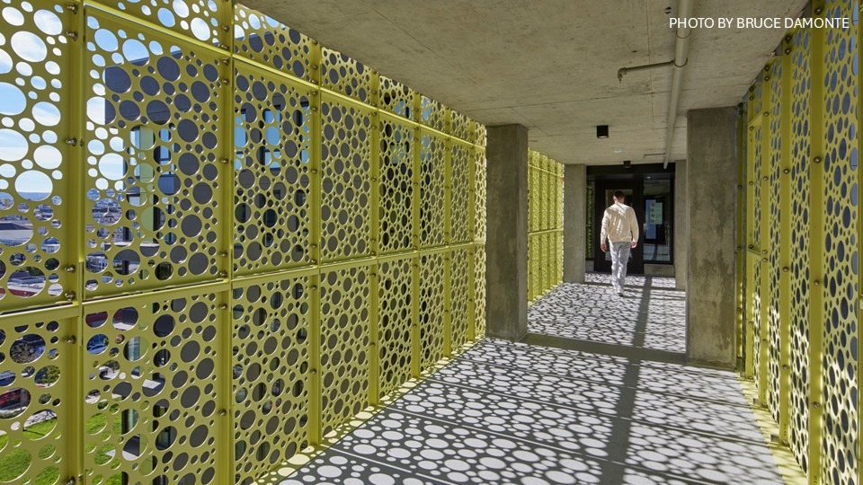 A biophilic green guardrail on an indoor-outdoor space.